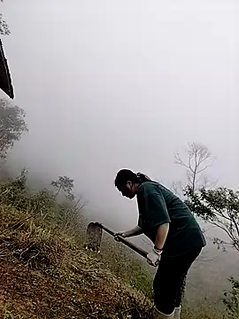 Sinhlinh2020 online show from 03.23.26