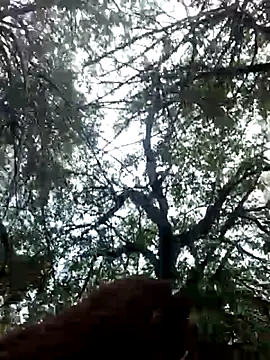 Labellasex online show from 12.20.25