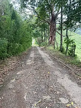 motomotoboy online show from 03.05.26