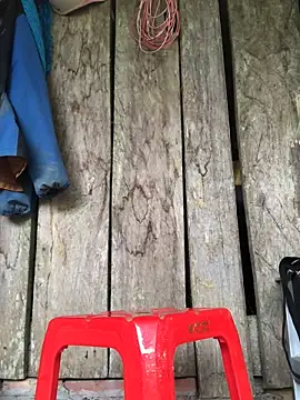 Kylie beem online show from 03.15.26