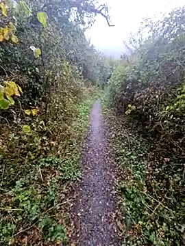 bbyxklaus online show from 10.20.25