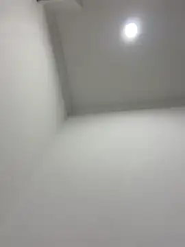 violeta365 online show from 04.11.26