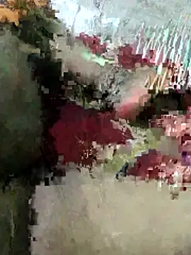 Snapshot of sexy_6hvhhh chatting on 10.26.25 sexy 6hvhhh online show from 10.26.25