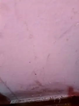 Argentino 96 online show from 01.07.26