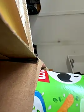 Snapshot of cheems232 chatting on 11.26.25 cheems232 online show from 11.26.25