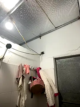 Deer nice online show from 11.26.25