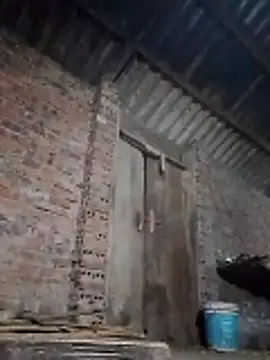  LAN  online show from 03.26.26