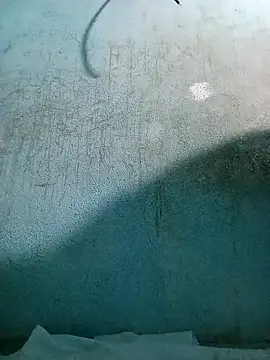 naveen 3222 online show from 12.05.25