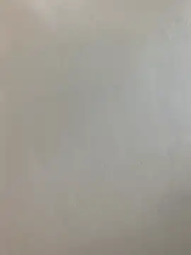 hairypussy254 online show from 04.19.26