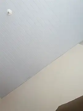 Morenodotado0 online show from 02.24.26