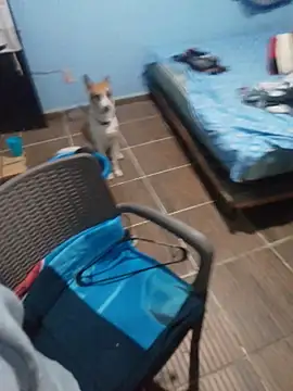 666Daemon666 online show from 01.17.26