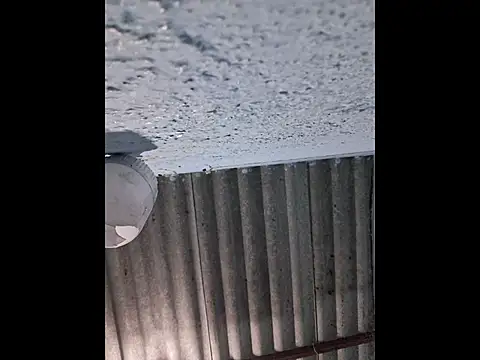 666Daemon666 online show from 04.10.26