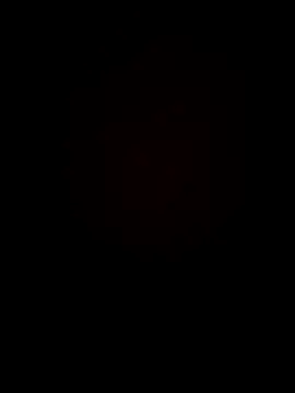 Snapshot of Chripish chatting on 11.04.25 Chripish online show from 11.04.25