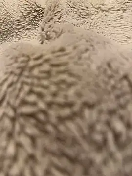 Jackoff2345 online show from 02.18.26