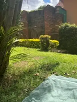 BubblesLovexox online show from 04.01.26