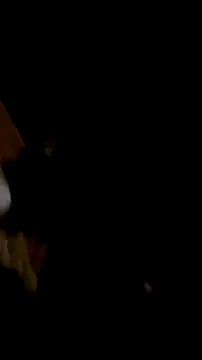 Snapshot of Pinos8700 chatting on 11.04.25 Pinos8700 online show from 11.04.25