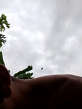 Alex Sweeting online show from 01.12.26