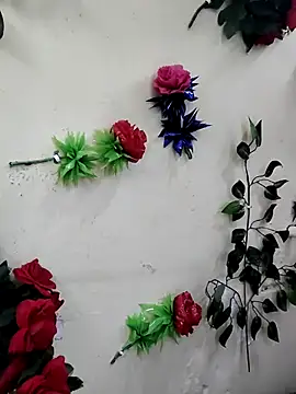 Indian-Glory online show from 12.13.25