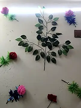 Indian-Glory online show from 01.14.26