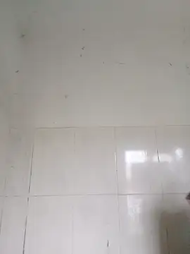 bella-la online show from 02.12.26