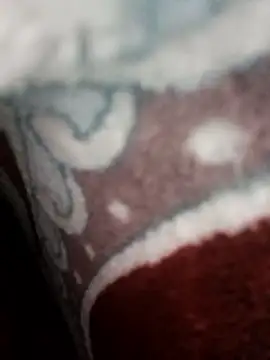 Snapshot of bigtelugubhama chatting on 11.22.25 bigtelugubhama online show from 11.22.25