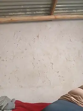 3bigcuteness online show from 11.14.25