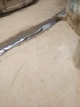 Pandey0012 online show from 10.28.25