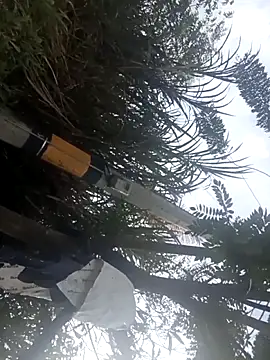 Snapshot of Camila-Valverde chatting on 01.31.26 Camila-Valverde online show from 01.31.26