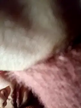 yoyo-mi online show from 01.09.26