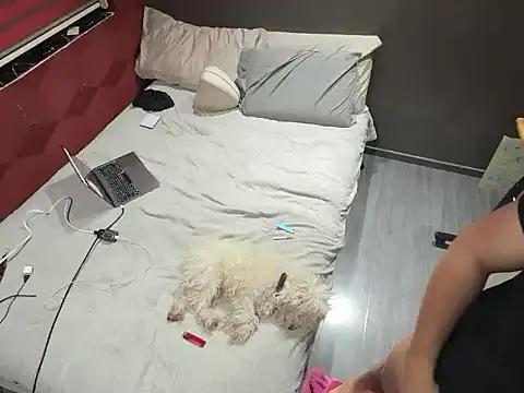 Bbydaddy 0 online show from 01.19.26