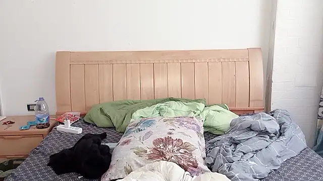 N228 online show from 12.05.25