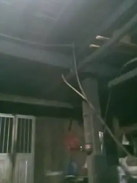 matbiec- online show from 11.19.25