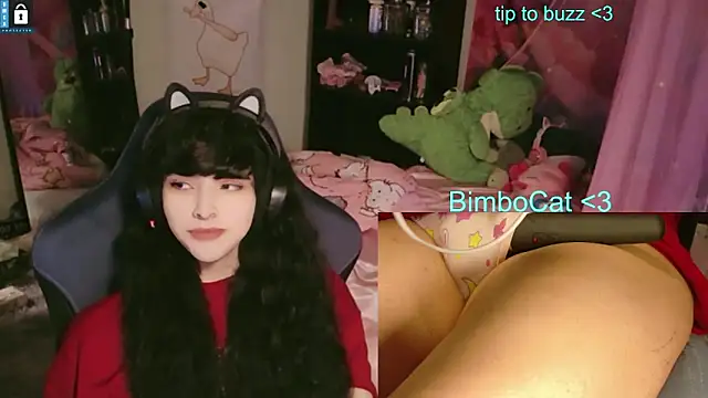 Snapshot of BimboCat chatting on 06.13.26 BimboCat online show from 06.13.26