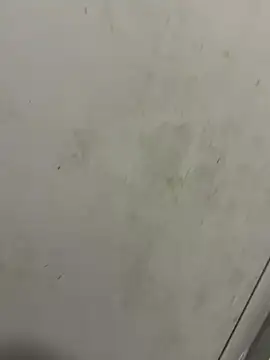 Snapshot of Isamperry69 chatting on 10.31.25 Isamperry69 online show from 10.31.25