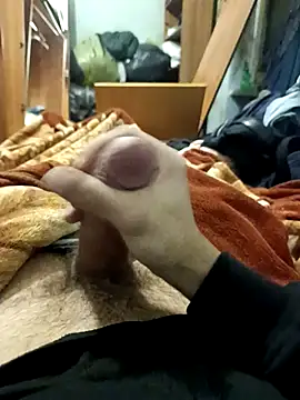 KaTorino online show from 02.03.26