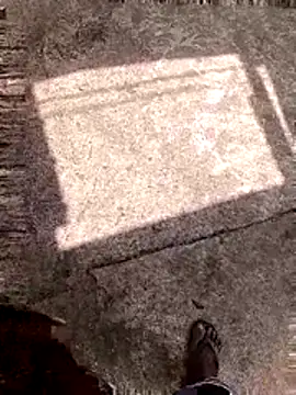 DK 9396 online show from 02.16.26