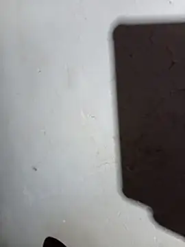 DK 9396 online show from 04.23.26