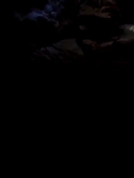 1990Mido online show from 04.13.26