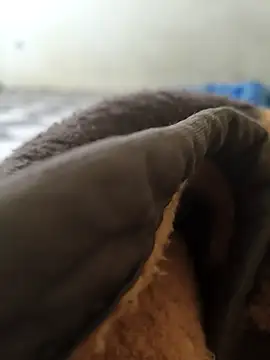 Realverse online show from 11.05.25