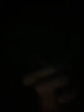 Manfredini607452 online show from 11.26.25