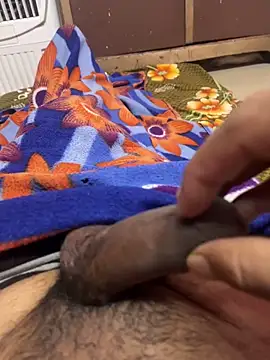 porn ritik online show from 11.29.25