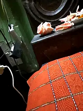 Snapshot of BdTinyDick chatting on 11.06.25 BdTinyDick online show from 11.06.25