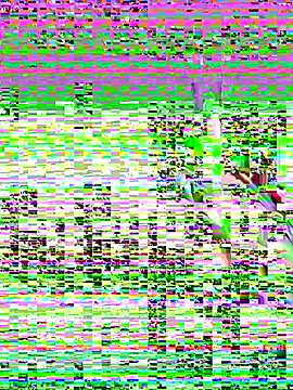 leenaboyxh online show from 11.27.25