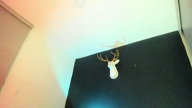 Zeus Jeff online show from 02.19.26