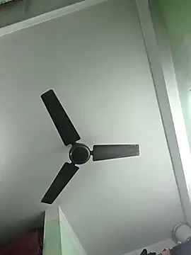 Snapshot of butterflydoll55sexolina chatting on 11.20.25 butterflydoll55sexolina online show from 11.20.25