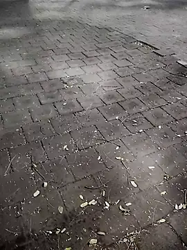 Javierba18301bak online show from 01.09.26