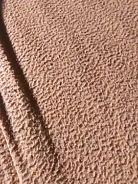 WillfulVideo online show from 02.07.26