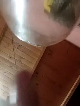 Camicam 04 online show from 11.16.25