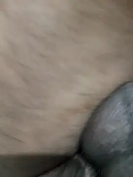 Snapshot of LEOMEGHA2026 chatting on 11.19.25 LEOMEGHA2026 online show from 11.19.25