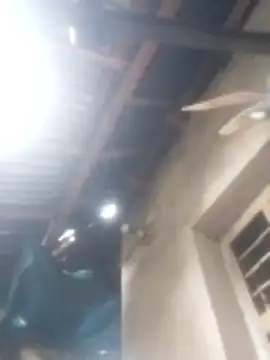 jacka 305 online show from 01.17.26